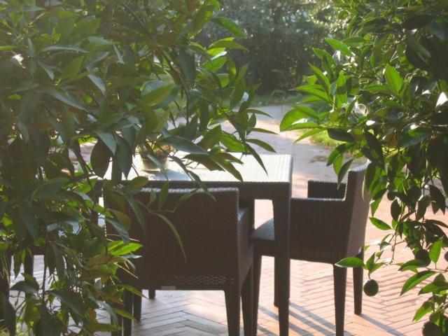 Al Melograno - Room & Breakfast Bologna Luaran gambar